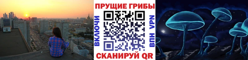 это телеграм Зеленогорск Псилоцибиновые грибы ЛСД